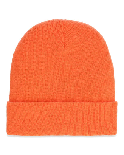 Everyday Watchcap